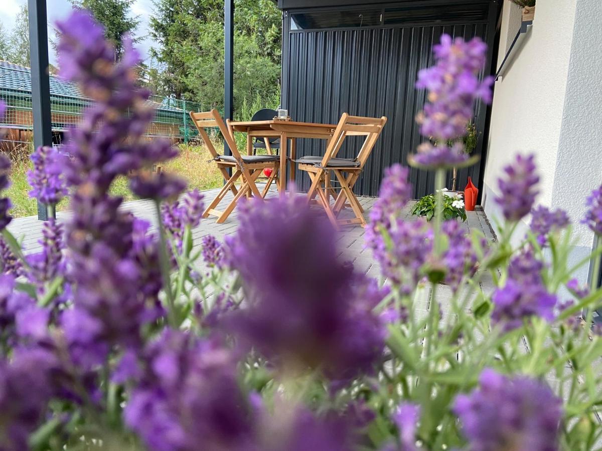 Ferienwohnung Im Chalet Scheibenberg Buitenkant foto